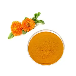 Natural Food-Grade Pigment Lutein Powder Marigold Flower Extract