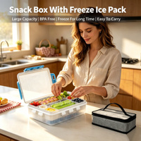 Boîte à lunch portable à 9 compartiments pour la conservation de la fraîcheur, boîte à bento avec pack de glace pour le camping