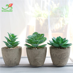 Le migliori <span class=keywords><strong>piante</strong></span> succulente <span class=keywords><strong>artificiali</strong></span> in vaso reali come Mini selezionate per la decorazione del Desktop - Product Image 4