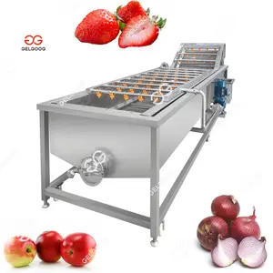 Gelgoog Clean Equipments Fresh Fruit Apple Strawberry Vegetable Washing Machine With Ozone For High Quality