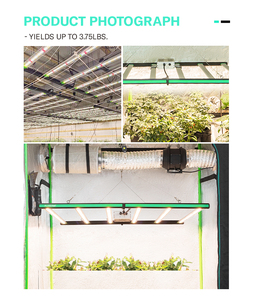 Lámpara de Cultivo LED Regulable de 645W/720W/800W, Disponible en EE. UU./Canadá, Lm281B Lm301H Evo Lm301B - Product Image 5