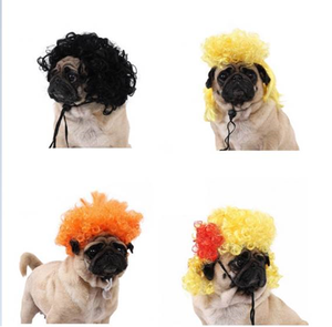 Perruque pour animaux de compagnie, fournitures pour chiens, accessoires pour animaux, cheveux bouclés, cheveux raides, perruque pour chat - Product Image 1