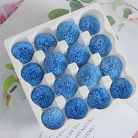 Fleurs préservées TC pour décoration DIY – Têtes de chrysanthèmes naturels toutes tailles, toucher réel, pour cadeaux de fleurs éternelles