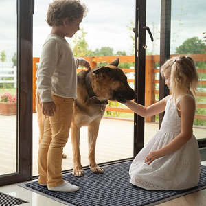 Evcil hayvan dostu köpek <span class=keywords><strong>Gone</strong></span> akıllı kirli köpek çamurlu pençe çamur paspaslar kapı paspasları köpek kapı paspasları için çamurlu Paws zeminler - Product Image 3