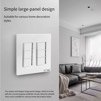 Interruptores de Luz de Pared de Botón de Alta Calidad, Modernos, de 4/5/6 Gang, Panel Grande de 120 mm, Venta Directa de Fábrica