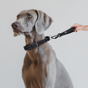 Con Chó Lớn Ngắn Dẫn Tab Dây Xích Với Hàng Không Nhôm Hợp Kim Móc Mới Nhất Phát Triển 8 Inch Nhà Sản Xuất Đa Chức Năng Rắn - Product Image 5