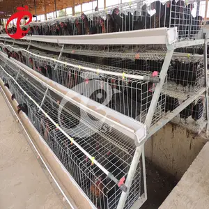 סוללה שכבה עוף כלוב לעופות חקלאי עם 120 ציפורים קיבולת