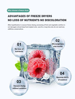 Machine de lyophilisation industrielle sous vide pour aliments, fruits, légumes, café, capacité de 100-3000 kg, pour comprimés de lait lyophilisés