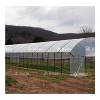 Serre agricole multi-travées monocouche en film PE blanc de grande taille pour la culture de fraises, avec structure stable, à vendre