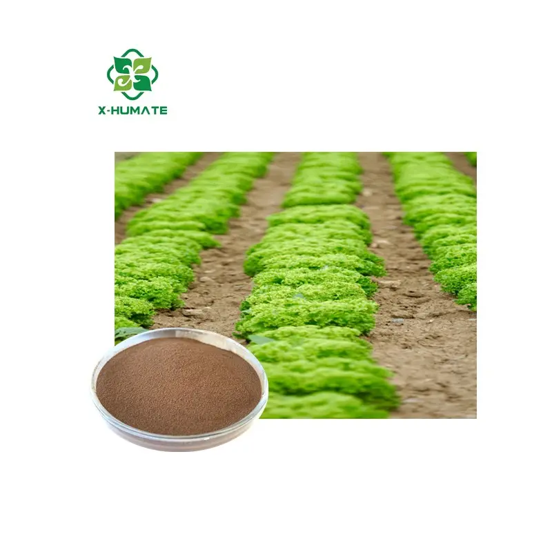 X-Humate/Engrais organique 100% Poudre soluble dans l'eau à haute teneur en eau