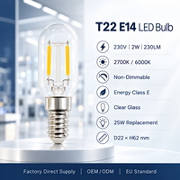 Ampoule LED à filament T22 E14, 2W, 230V, 230LM, verre transparent, 2700K, 6000K, classe énergétique E, certifiée CE UKCA, fabrication OEM ODM
