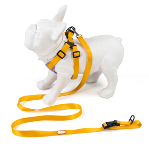 Chất Lượng Cao Dài Khoảng Cách Pet Dog Dây Xích Thoải Mái Mềm Mại Với Khóa Cho Chó Chạy Đi Bộ - Product Image 6