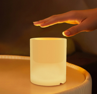 Porte-stylo multifonctionnel en silicone avec lumière d'ambiance pour le rangement de petits objets, veilleuse et lumière d'ambiance pour la décoration intérieure