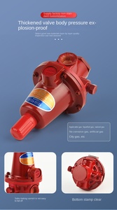 Vanne de sécurité pour <span class=keywords><strong>gaz</strong></span> GPL, corps en laiton, régulateur réglable, vanne de coupure de sécurité pour bouteilles de <span class=keywords><strong>gaz</strong></span> domestiques et usage industriel - Product Image 6