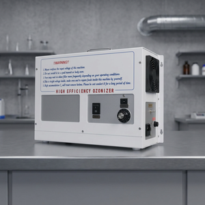 Ozoniseur électrique industriel mural et de table en acier inoxydable, capacité de 0,35 g/h, débit de 6-8 L/min - Product Image 3