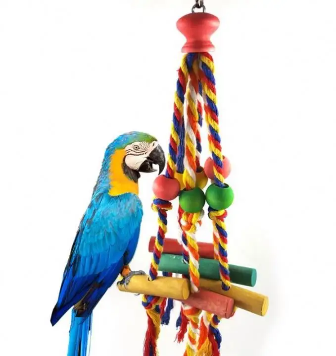 Pet Suprimentos Papagaio Pássaro Brinquedos Papagaio Poleiro Poleiros Corda Confortável Para Bungee Corda Mastigar Brinquedo Do Pássaro