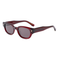 Lunettes de soleil de mode unisexes de haute qualité, avec verres polarisés UV400 en acétate ovale, logo personnalisé, monture transparente solide, pour l'extérieur