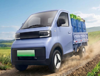 Mini-camion à batterie lithium haute puissance avec climatisation manuelle chaude et froide et 2 sièges pour le transport de marchandises