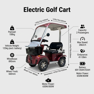 Voiturette <span class=keywords><strong>de</strong></span> golf électrique 2 places 4 roues 60V 800W avec roues en alliage, contrôleur 15 tubes et toit ouvrant pour le transport du personnel des clubs <span class=keywords><strong>de</strong></span> golf - Product Image 2