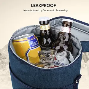 Shoulder Strap 2 Bottle Wine Carrier Insulated Leakproof Wine Cooler Insulated Waterproof Polyester Portable Wine Bag