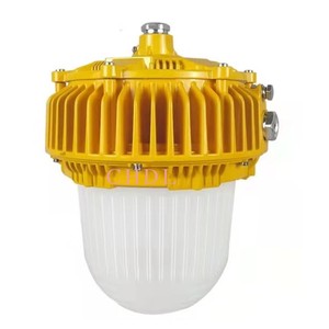 Luz LED a Prueba de Explosiones 20W 40W 60W Nema 4X Blanco Puro para Uso Industrial - Product Image 4