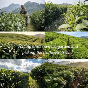 Tè Verde in Polvere Giapponese Uji e Kyoto di Grado Cerimoniale 6A, 100% Biologico, Confezione OEM con Marchio Proprio in Barattoli - Product Image 3