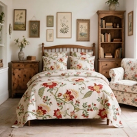 Ensemble de literie en coton Oeko-Tex de haute qualité, ensemble de couettes, 300TC, luxe, haute qualité