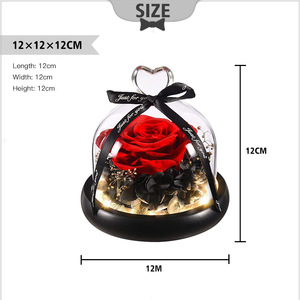 Regalo In cupola di vetro con luci a LED Rose eterne rosse per sempre Rose regalo romantico per le donne Rose stabilizzate per la <span class=keywords><strong>festa</strong></span> <span class=keywords><strong>della</strong></span> <span class=keywords><strong>mamma</strong></span> - Product Image 2