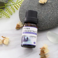 Vente en gros 10ml 30ml 120ml d'huile essentielle soluble dans l'eau plante parfum diffuseur d'arôme huile essentielle pour diffuseur humidificateur