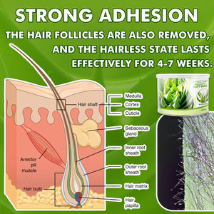 <span class=keywords><strong>Cera</strong></span> Depilatoria Morbida Chase Wax 400g all'Aloe Vera <span class=keywords><strong>per</strong></span> Saloni e Spa - Product Image 5