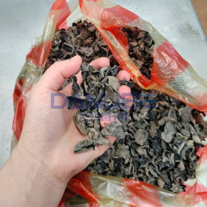 เครื่องอบเห็ดดำปรับอุณหภูมิได้ เครื่องอบเห็ดกินได้ด้วยไมโครเวฟ - Product Image 1