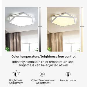 מנורת תקרה <span class=keywords><strong>LED</strong></span> מודרנית אירופאית סִגְנוֹן ברזל דקה במיוחד לסלון חדר שינה ביתי עם עיצוב גיאומטרי יצירתי - Product Image 4
