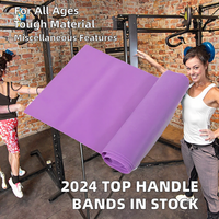 Bande de résistance en latex Theraband à haute élasticité avec logo personnalisé, rouleau de bande d'exercice naturelle, ensemble de bande d'exercice portable pour la gymnastique
