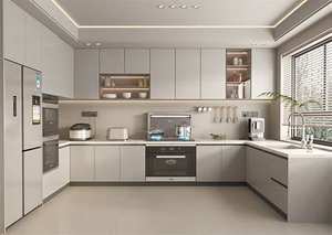 जियोरेज समूह लक्जरी लाइट गोल्ड हाई ग्लोसी लैसर मॉड्यूलर रसोई अलमारियाँ ओम होम स्टोरेज बिक्री हैंडल सिंक एक्सेसरी ऐक्रेलिक - Product Image 2