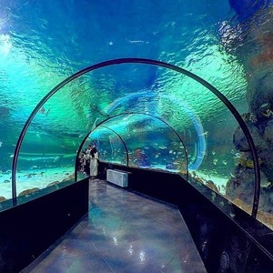 Planche Courbe en Acrylique Transparent Personnalisée avec Services d'Extrusion et de Découpe pour Aquariums et Oceanariums - Product Image 3
