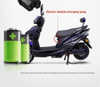 Pompa Air Kendaraan Listrik Bertenaga Baterai 12V/24V/48V/60V 0.5 HP 1/2 Inch Pompa Booster Self-Priming OEM
