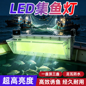 Lampe de pêche LED 120lm W, couleur verte, étanche IP65, en alliage d'aluminium, durée de vie de 50000 heures - Product Image 4