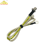 OEM/ODM Capteur de température Ntc étanche personnalisé Cuiseur à riz à induction Capteur à thermistance Ntc100k Haute précision