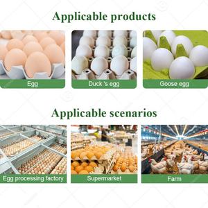 Pequeña clasificadora automática de huevos de gallina por tamaño y peso, máquina de clasificación de huevos en venta a buen precio - Product Image 6