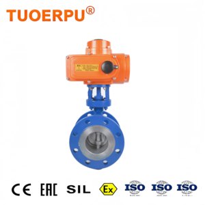 Joint d'étanchéité rigide de précision Tuoerpu, résistant à la chaleur, pour l'industrie pétrochimique, PN16/150lb DN50-600, pour l'industrie pétrolière et gazière - Product Image 3