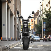 Scooter Urbain Sportif Haute Performance 2025 avec Moteur Brushless 60V 1000W, Vitesse 60km/h, Grandes Roues, Type Streetbike