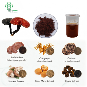 แคปซูลผงสกัดจากเห็ดหลินจืออาหารเสริมจำนวนมาก - Product Image 5