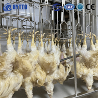Système de traitement et d'abattage de volailles professionnel haute capacité, certifié CE, conforme aux normes Halal, en acier inoxydable 304, 1000BPH