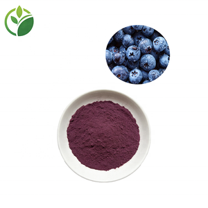 Оптовая продажа натурального экстракта черники в порошке, 25% антоцианидинов, сублимированный порошок черники, порошок из сока черники - Product Image 1