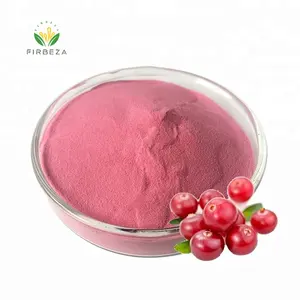 Vendita calda 30:1 estratto di mirtillo rosso in polvere sfuso 100% naturale polvere di mirtillo rosso per uso alimentare