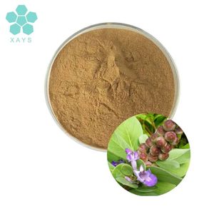Pasokan pabrik bubuk <span class=keywords><strong>chasteberry</strong></span> alami bubuk ekstrak <span class=keywords><strong>chasteberry</strong></span> - Product Image 2
