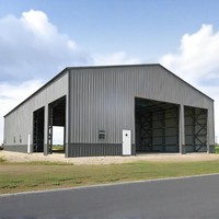 Usine de structures préfabriquées en acier léger Dingtuo, entrepôt, hangar à chèvres, norme ASTM, qualité Q235B/Q355B