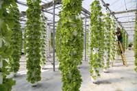 NOUVEAU système de rotation hydroponique vertical motorisé pour le jardin tour aéroponique pour la ferme tour verticale pour l'agriculture