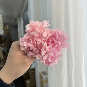 <span class=keywords><strong>Foglie</strong></span> di rami di eucalipto Bouquet foglia pianta verde per la festa nuziale decorazione della tavola floreale - Product Image 5