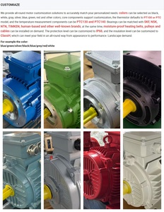 มอเตอร์เหนี่ยวนำไฟฟ้ากระแสสลับแบบสามเฟส YE2-200L2-2(37kw) ประสิทธิภาพสูง เสียงรบกวนต่ำ โครงเหล็กหุ้ม 380V AC 3000 รอบต่อนาที 50Hz - Product Image 5